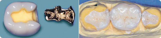 Fotos proDente e.V., Dentimages